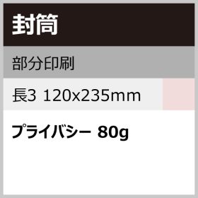 ENV_PRTL_120x235_PRV80